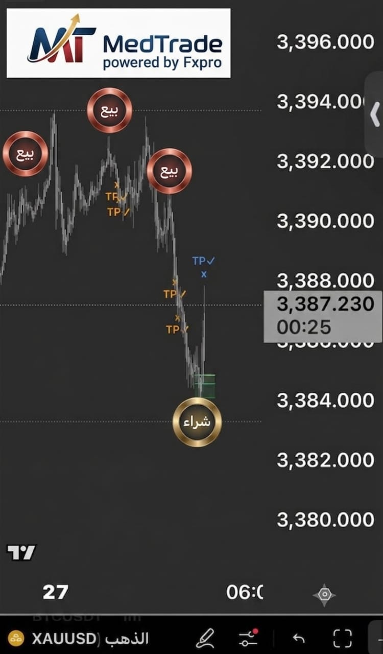 إحصائيات الأداء - نسبة نجاح 66.7%